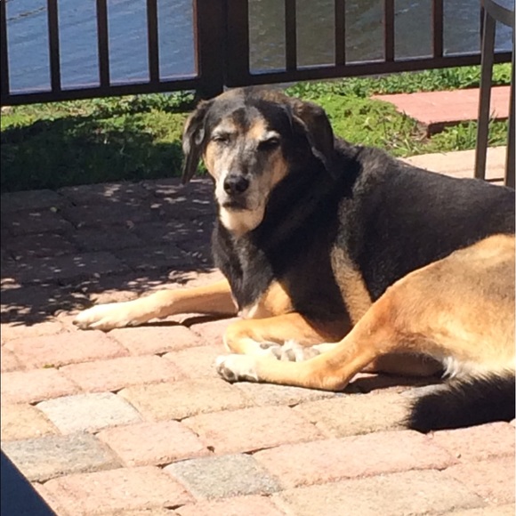 Meet your Posher, Jannesse! - Picture 3 of 6